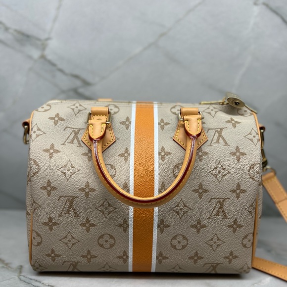 Louis Vuitton Speedy Bandoulière 25 Monopaname Monogram Paris Street Sign - Picture 10 of 13